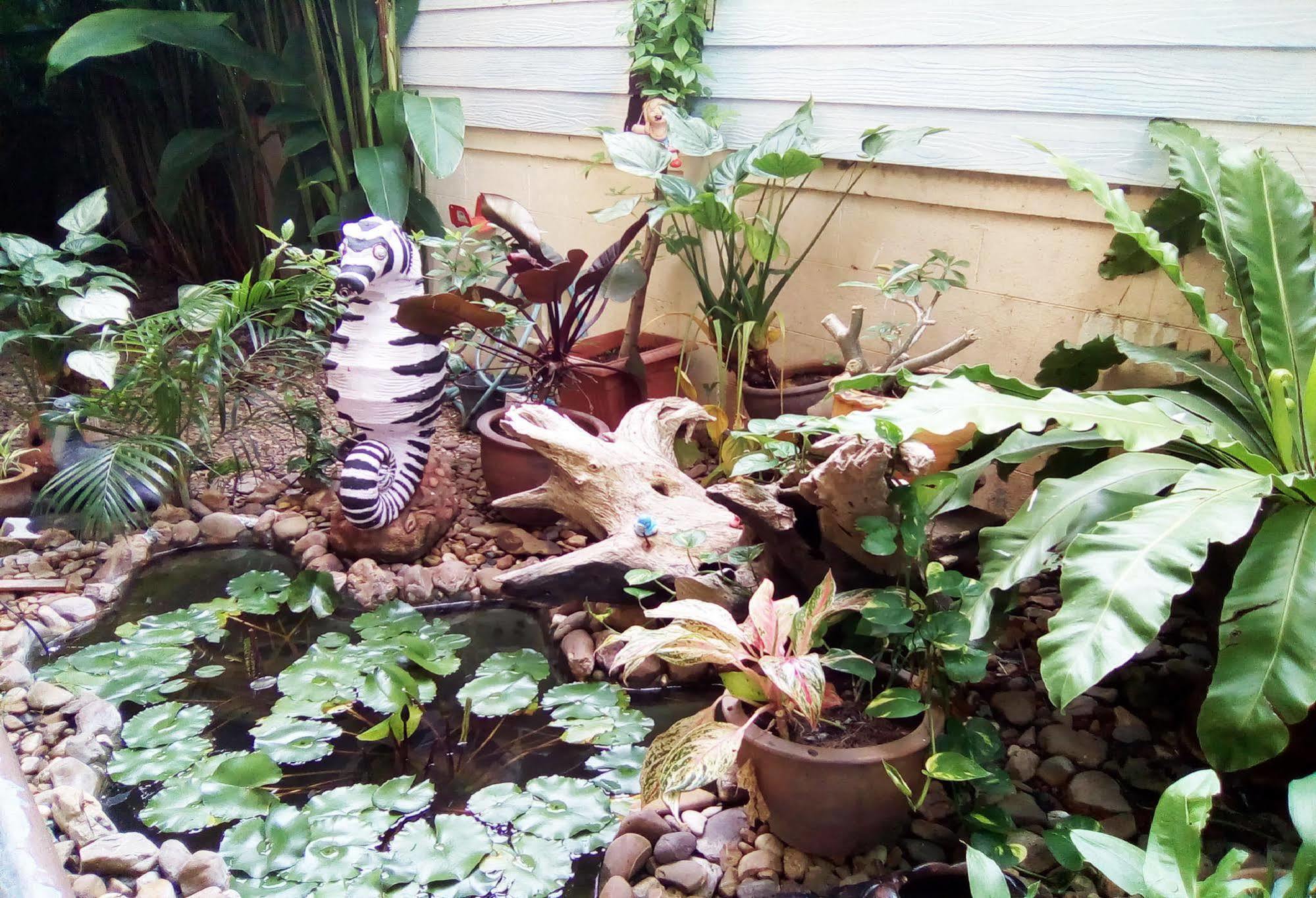 バーン チャンチャイ ホテル ホアヒン郡 エクステリア 写真